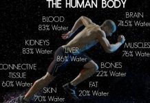 Allsportspk Health Tips: Body Water Key To Healthy Life