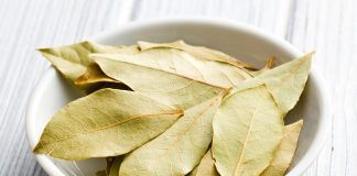 Allsportspk Health: Bay Leaves A Natural Health Boost