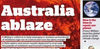 Australia Bushfires: Sports Stars Auction Belongings To Raise Funds