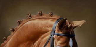 Allsportspk Sports Art: Horses In Realism