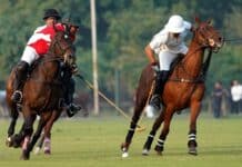 Pink Polo Cup 2025: Day 3 I Master Paints Into The Final