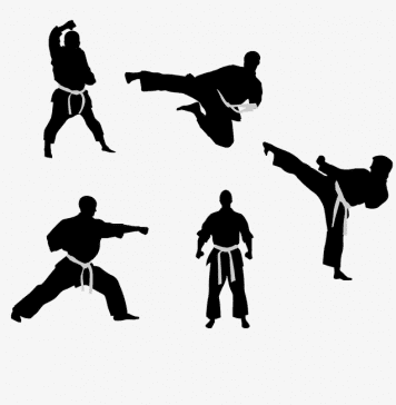 Martial Arts (Taekwondo, Karate, Judo & Kickboxing) World Rankings: 16th April 2020 Punjab CM National Karate C'ship 2019