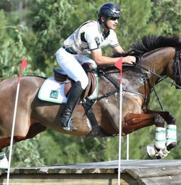 Allsportspk Obituary: Olympics Qualified Horse ‘Azad Kashmir’ Dies