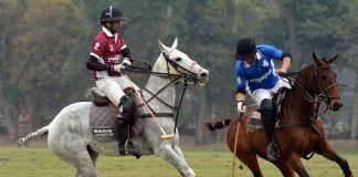 Hamdan Aibak Polo Cup 2019: Hamza’s Quartet Makes Pebble Breakers Win Polo Cup 2019