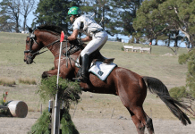 Tokyo Olympics 2020-Equestrian Category: Usman Qualifies; To Participate With Horse – Azad Kashmir
